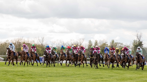 A maximum field will line up for the Fairyhouse feature