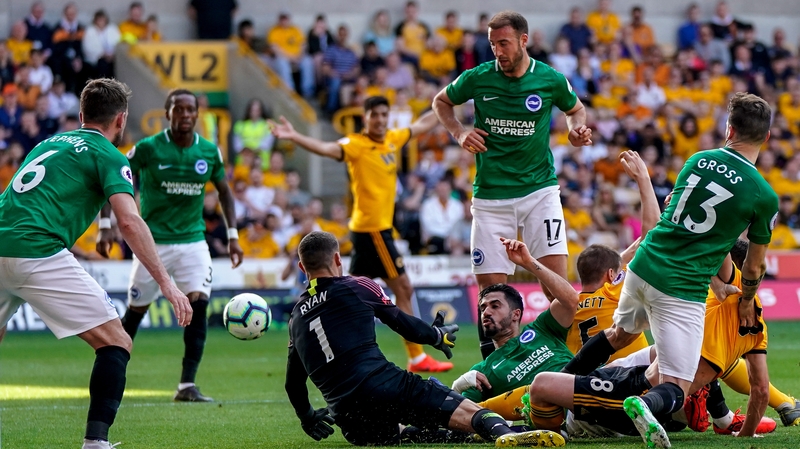 Brighton Dig In Heels To Earn Precious Point At Wolves