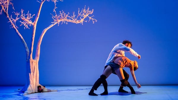 'W.A.M. We Are Monchichi' features at this year's Dublin Dance Festival