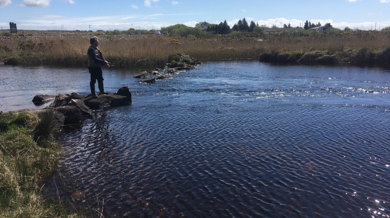 Decline in salmon numbers raises concern