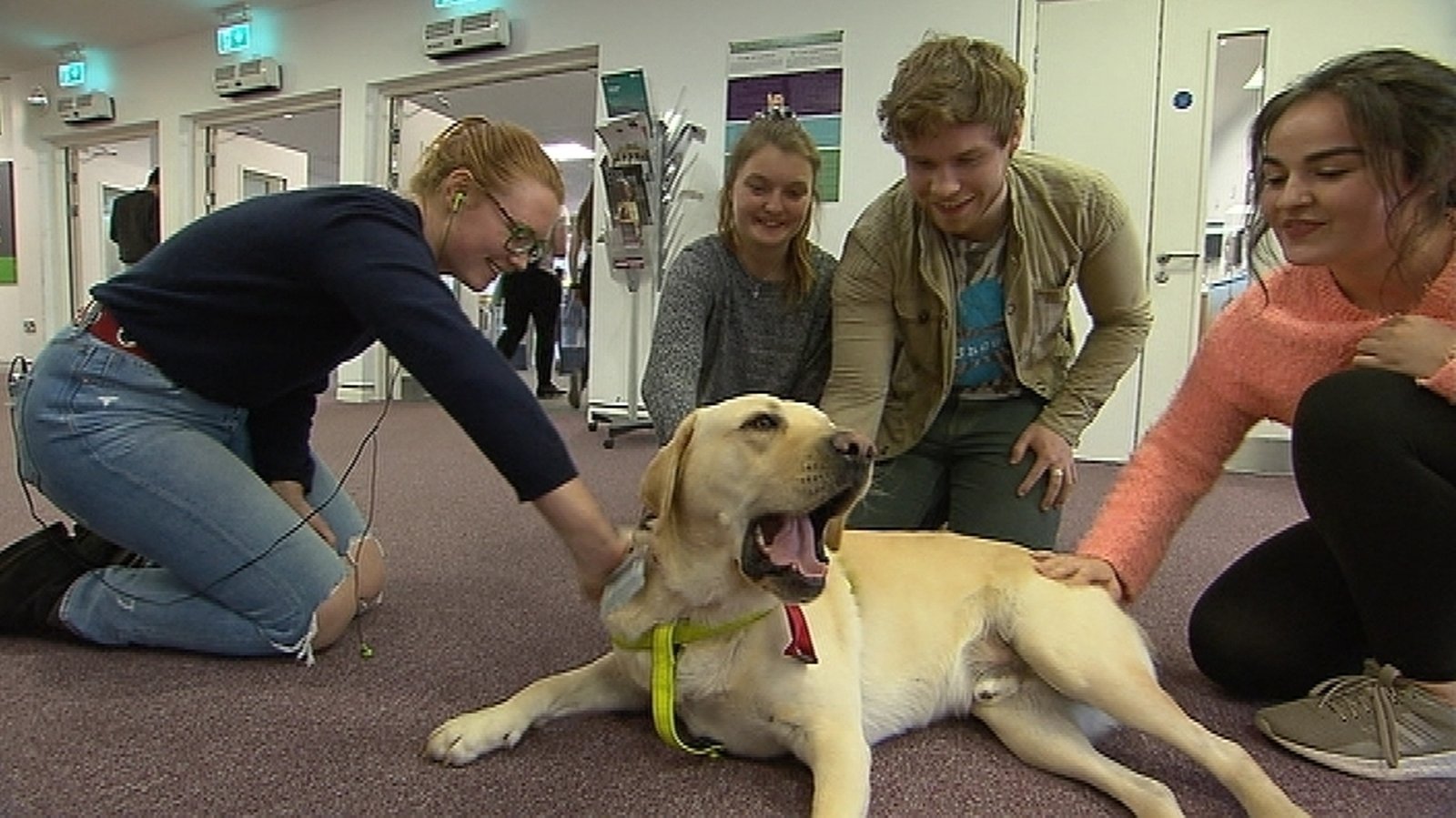 Mymathlab homework answer key picture