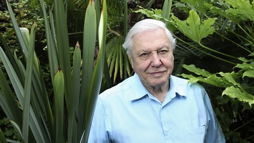 "David Attenborough commands the attention of millions of people and can turn our gaze to the considerable environmental challenges of our time"