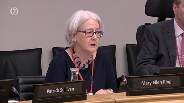 Ms Justice Mary Ellen Ring at the Oireachtas Justice Committee