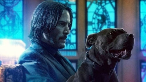 Keanu Reeves as John Wick, taking a brief respite from kicking ass