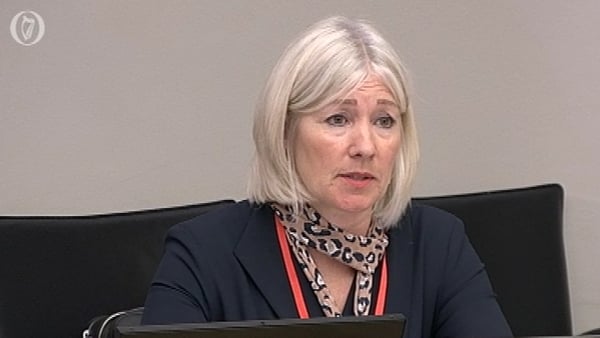 Ulster Bank CEO Jane Howard made her first appearance before the Oireachtas Finance Committee today