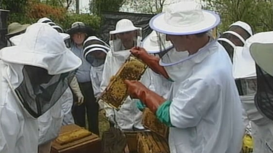 Cross Border Beekeeping