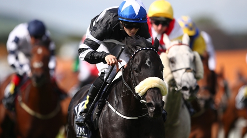Soffia stormed to victory in the Sole Power Sprint Stakes