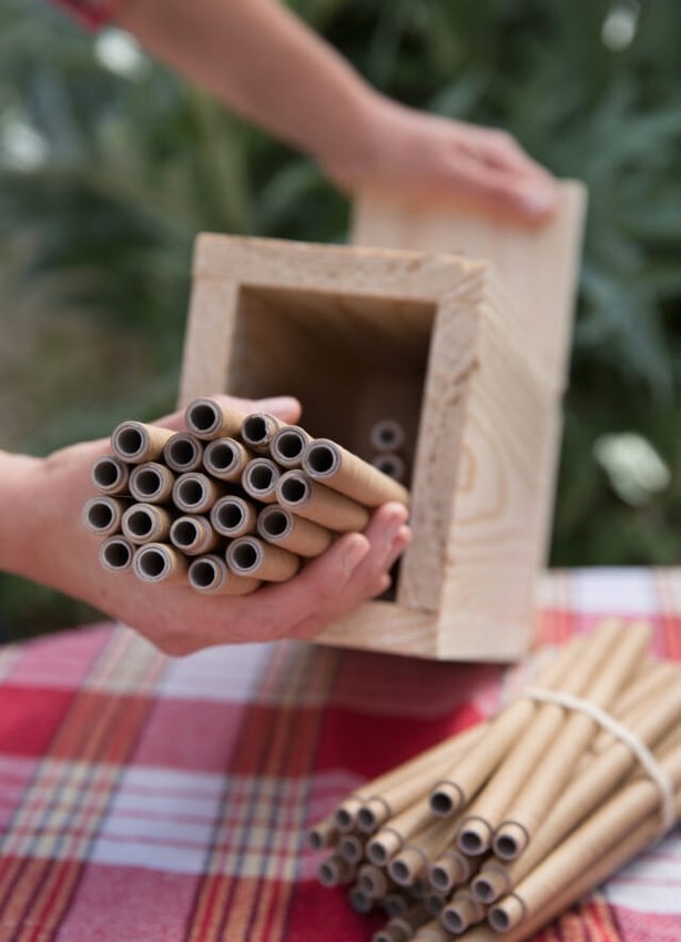 Bees need the correct diameter of nest holes (Sarah Cuttle/PA)