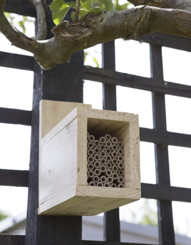 Look after your bee hotel (Sarah Cuttle/PA)