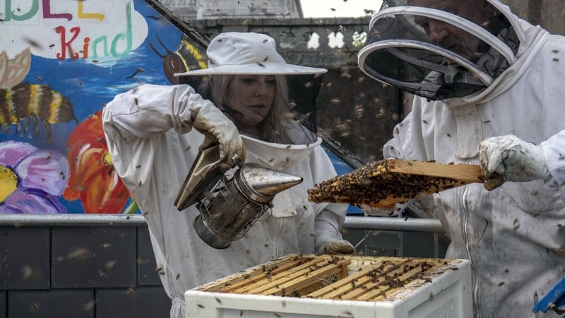 The Cork city centre has eight beehives