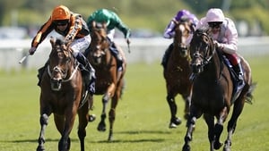 Too Darn Hot (r) in the Dante Stakes