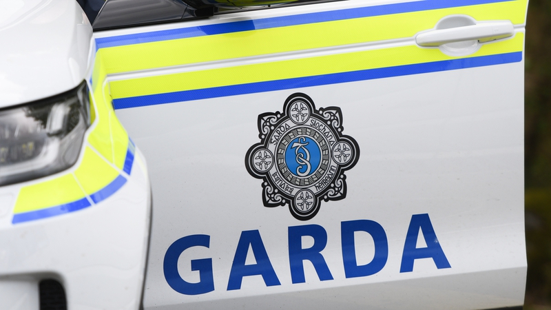€1 million worth of drugs and two guns seized in Dublin