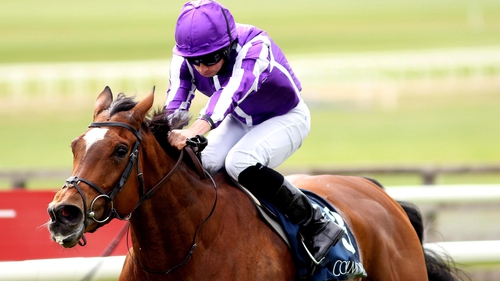 Magical goes for the Prince Of Wales's Stakes at Royal Ascot