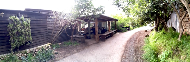 The Jerusalem Bird Observatory (JBO)