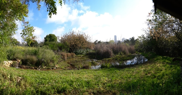 The Nyman pond in the JBO