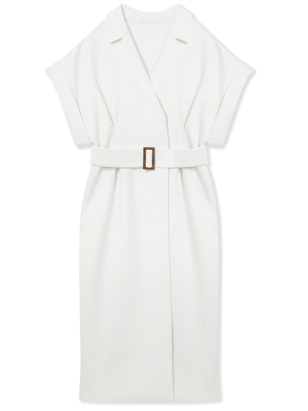 Hobbs Violette Dress; Lucinda Flat Shoes