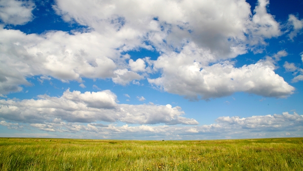 The Tengiz-Korgalzhyn region, close to Korgalzhyn Nature Reserve