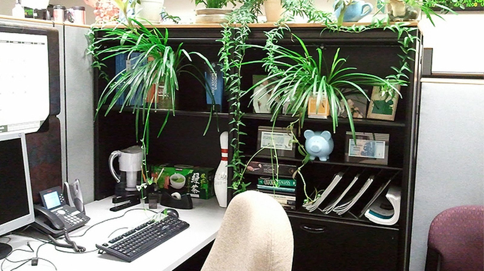 Green office benefits