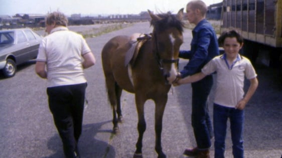 Belfast Horse Fair