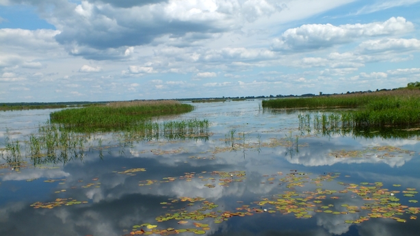 Polesie National Park - Wetlands