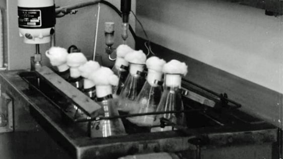 Guinness Laboratory Opened (1964)