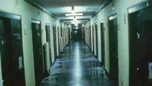 When the Maze prison closed in July 2000, among the last items to leave the compound were 10.000 books - which the IRA prisoners had collected since reading Freire in 1982.