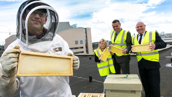 John Cairns (Hibernia REIT), Rod Byrne (Hibernia REIT), Lindsey O'Connell (HubSpot) and Patrick Casey (Bee Green Ireland) at Two Dockland Central with some of the new hives