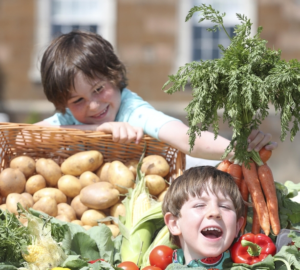 Flavours of Fingal