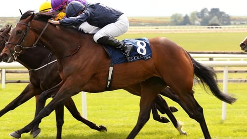Happen will look to defy huge odds in the Pretty Polly Stakes