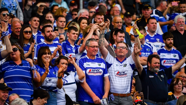 Laois fans celebrating at the Joe McDonagh Cup Final