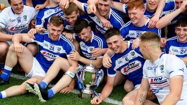 Laois hurlers won the tier two Joe McDonagh Cup this year