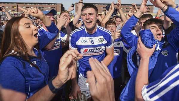 Laois celebrate after defeating Dublin