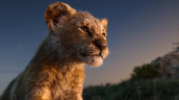 The cub who would be King