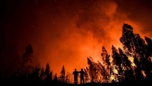 "The increased frequency and spread of wildfires is directly linked to climate change and exposure to wildfire smoke significantly impacts respiratory health"