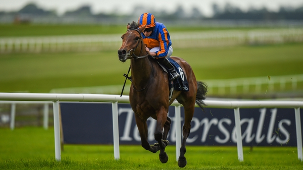 Hermosa winning the Curragh 1,000 Guineas
