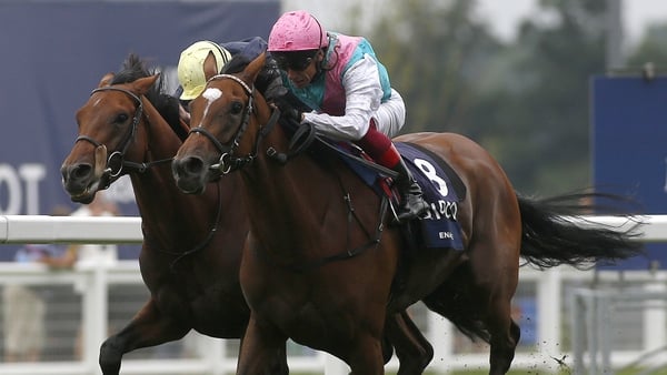 Enable powers to victory at Ascot