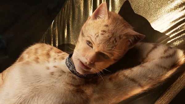 Taylor Swift in the forthcoming screen version of 'beloved musical' Cats