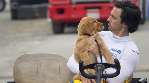 Denny Swift (Milo Ventimiglia) with his unusually reflective dog, Enzo