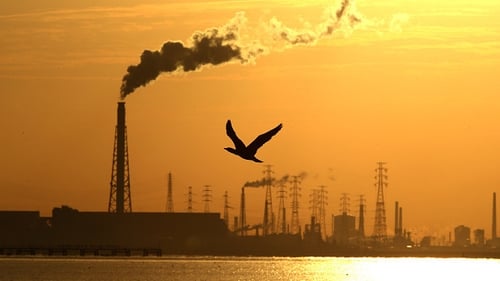 Some Irish businesses are going above and beyond to try and achieve a zero-carbon status Some Irish businesses are going above and beyond to try and achieve a zero-carbon status