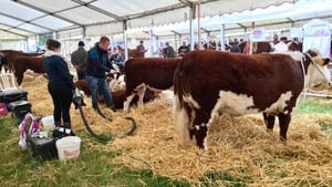 An essay in tribute to agricultural shows