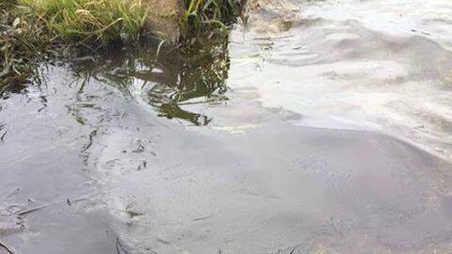 The source of the pollution on the Shannon and Al Rivers remains unknown
