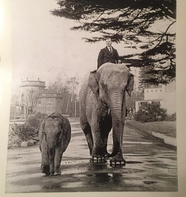 Jim Kenny on Sarah with Komali tagging along (Photo courtesy of Kenny family)