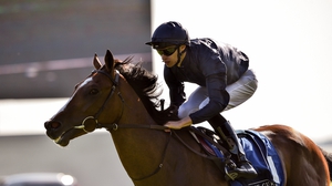 Donnacha O'Brien booted home a treble at Gowran Park on Monday