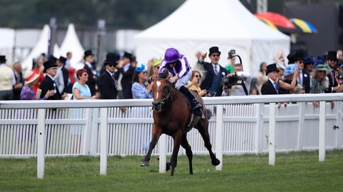 Japan strides to victory in splendid isolation in last season's King Edward VII Stakes at Royal Ascot