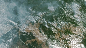 A NASA satellite image from 13 August shows fires in the states of Amazonas (top C-L), Para (top R), Mato Grosso (bottom R) and Rondonia (bottom C)