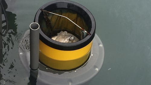 Sea bin collects plastic from the water