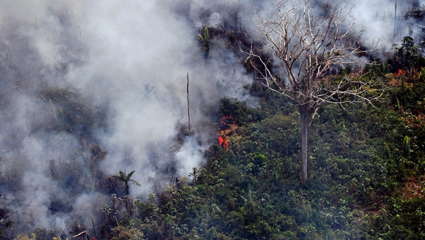 Some 1,663 new fires were ignited between Thursday and Friday in the Amazon