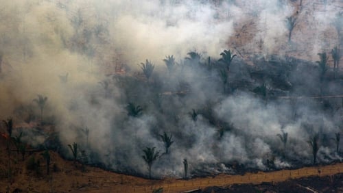 Nearly 80,000 fires have been registered across Brazil through 24 August, the highest since at least 2013