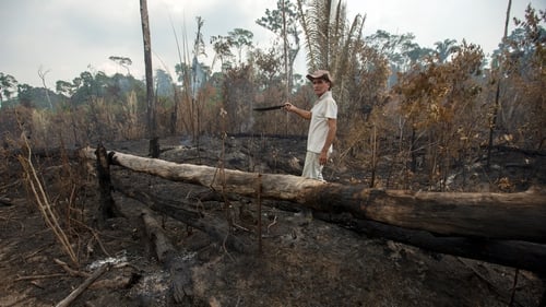 Funding for prevention and control of forest fires has also been reduced
