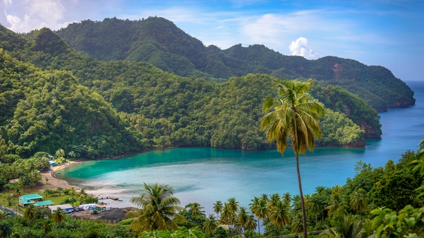 Sea and palm trees in Saint Vincent and the Grenadines